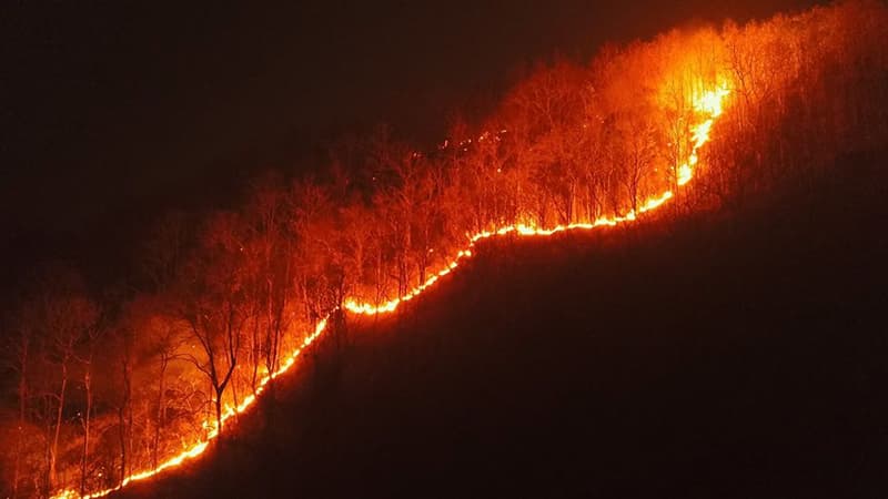 ไฟไหม้ป่า