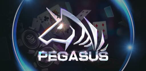 เพกาซัส pegasus